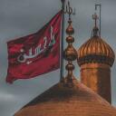 Imagen de perfil فهیمه امامی کیا