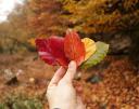 Imagen de perfil فاطمه رجبی